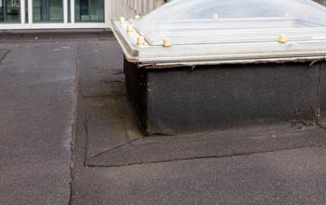 disadvantages of Trellech flat roofs