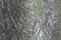 Trellech fibreglass roof work