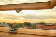 rated Trellech roof window companies